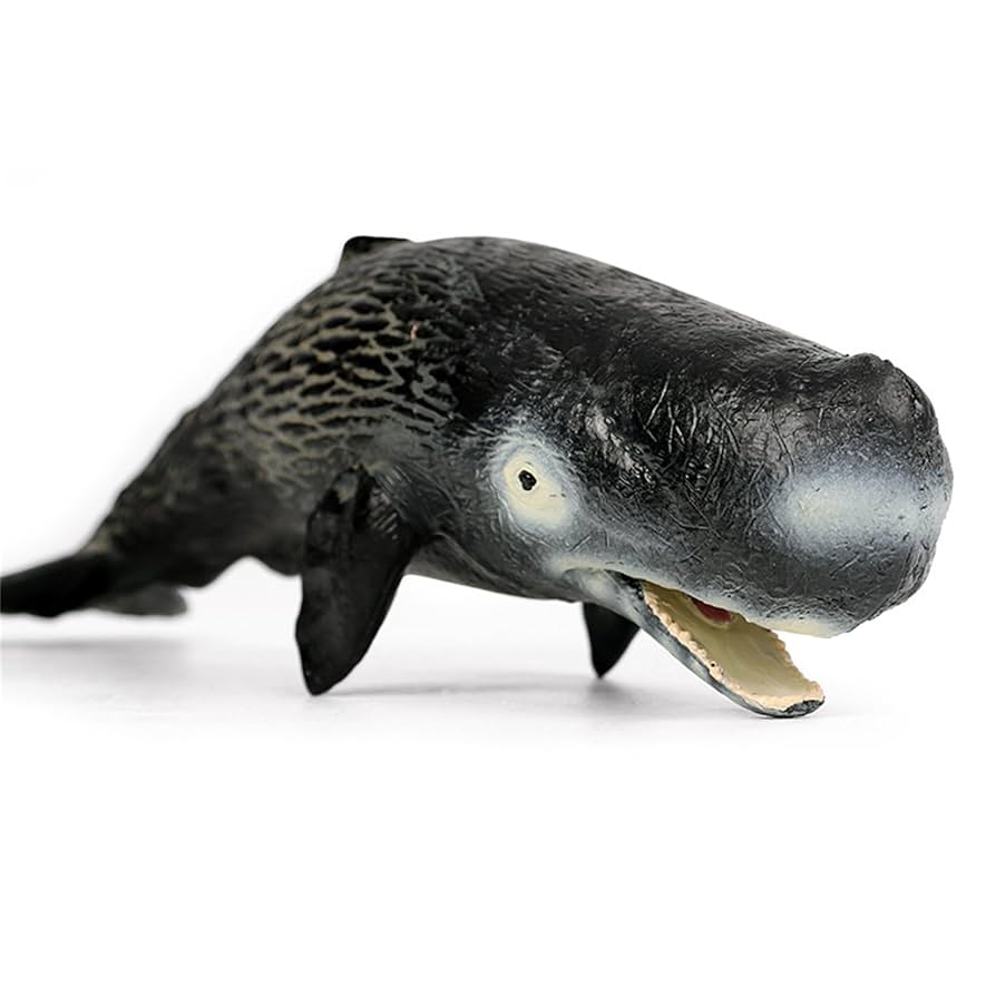Amazon | EUHELOPA 抹香鯨 マッコウクジラ フィギュア ハクジラ